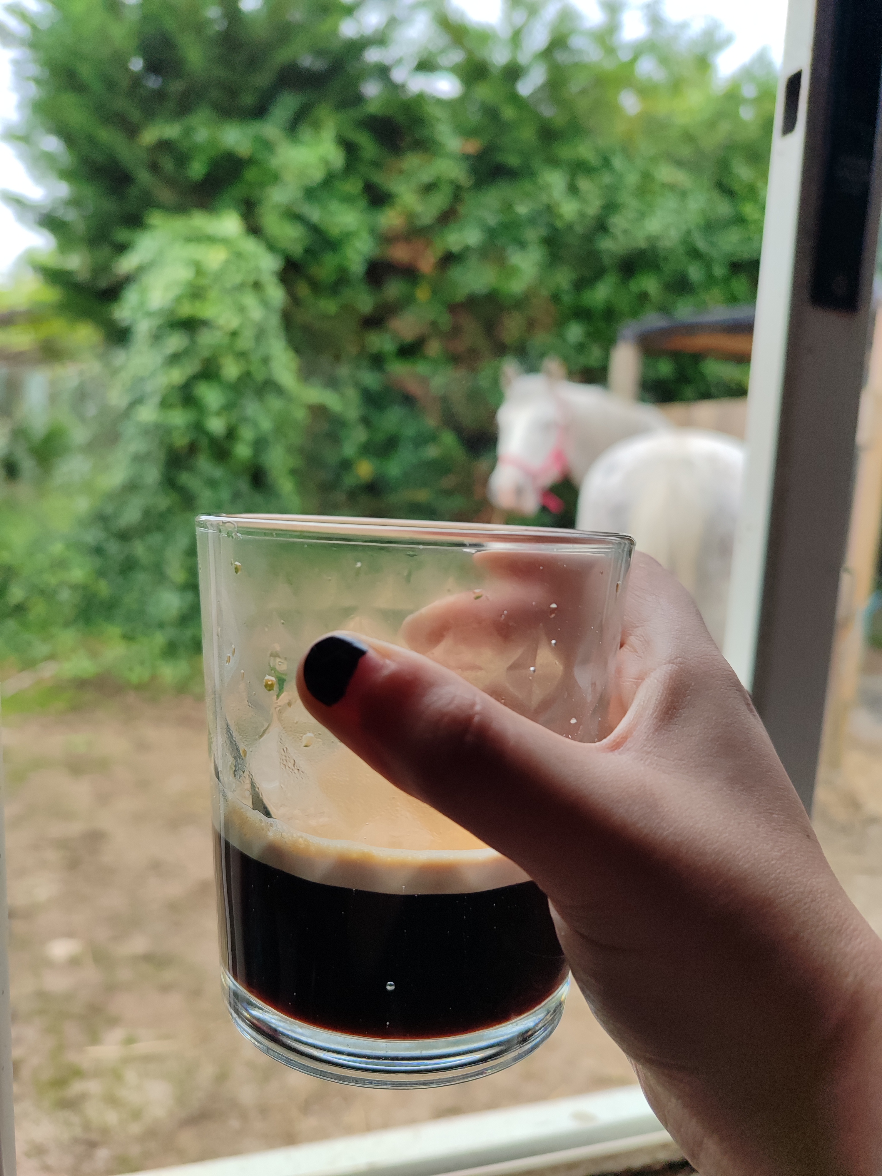 Café con burros